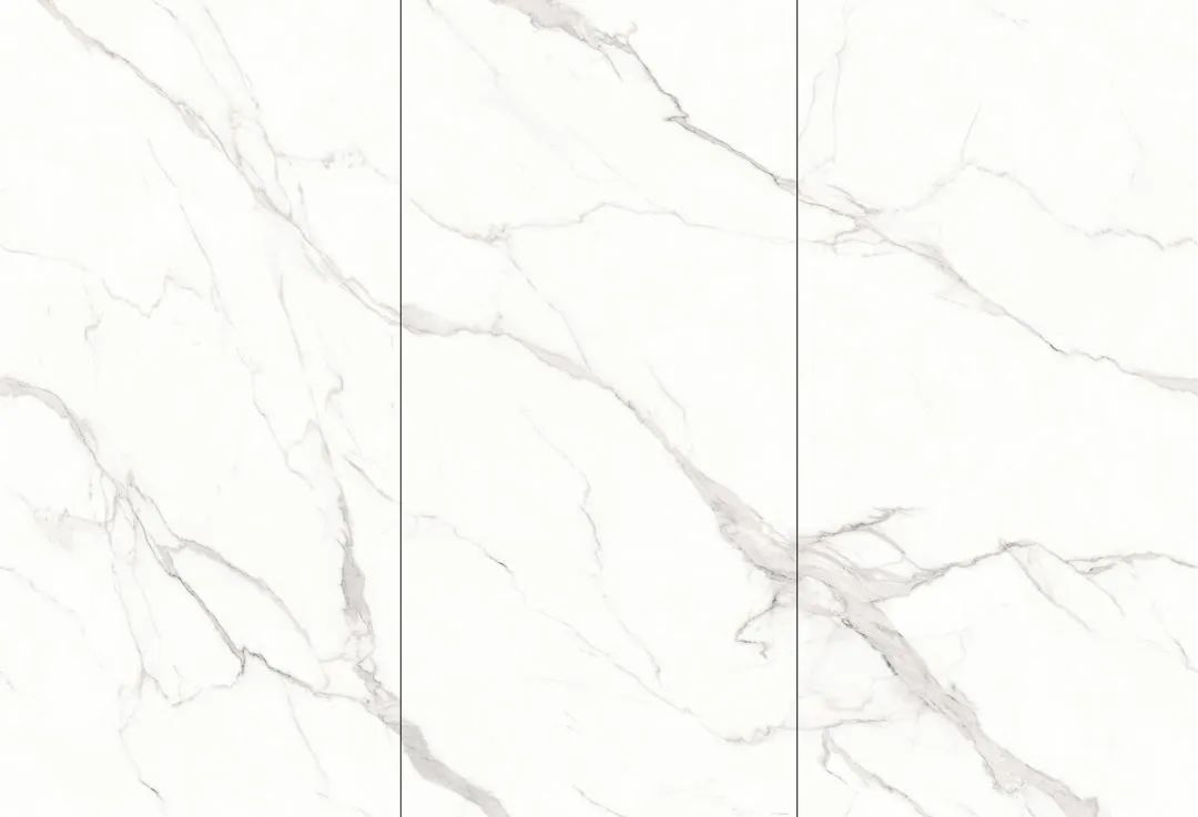 【新品】奢華定制，1600x3200mm成就大宅風(fēng)范！(圖24)