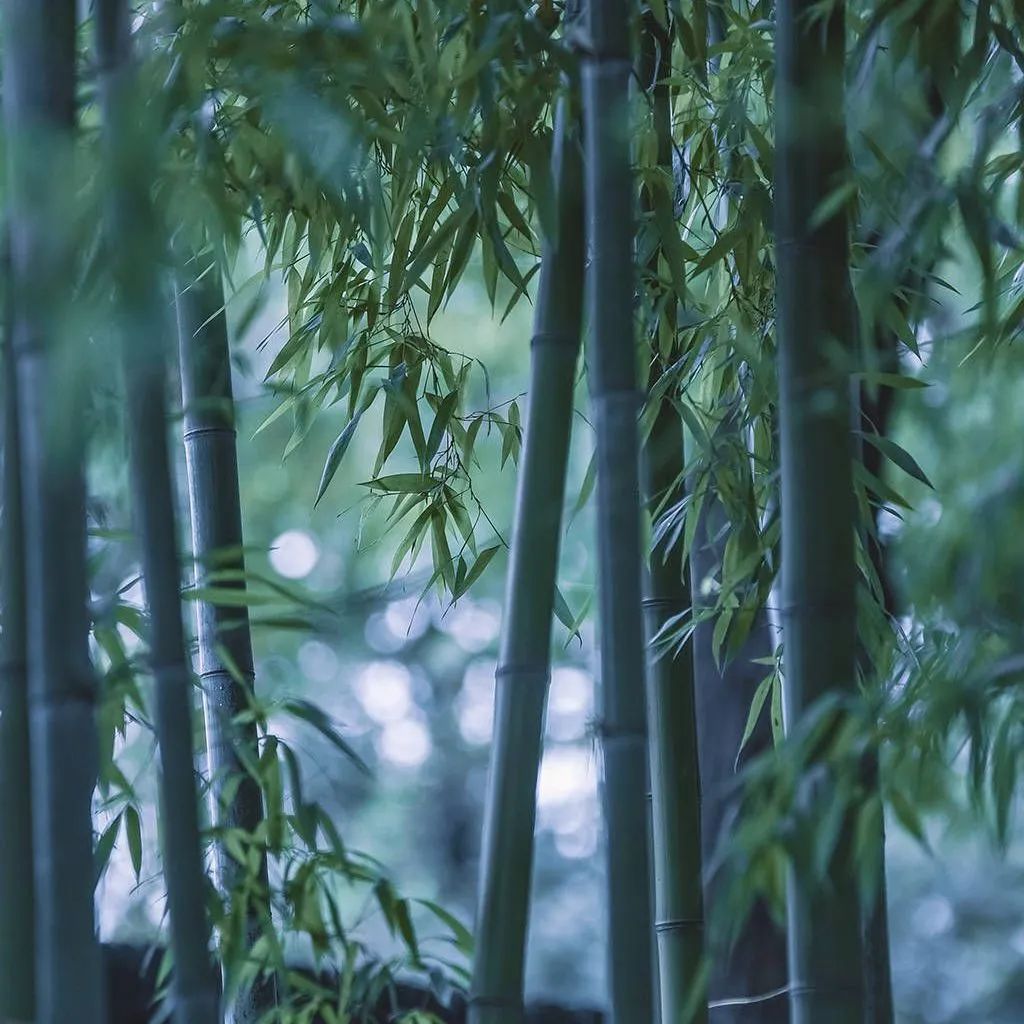 質(zhì)感?原生石系列 | 1200×1800mm密縫連紋，開創(chuàng)無限世界(圖19)